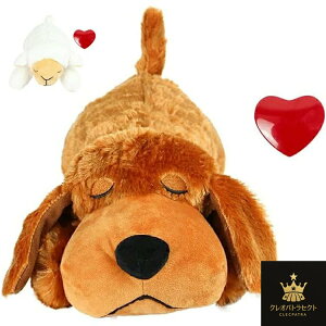 q̂̃n[gr[g̒Êg[jOʂ݌̂ n[gr[ĝ ʂ S Ȃ߂ s ⏕  ݂ yb