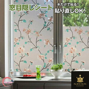  ډB V[g[̂sv]XehOX pKXtB ډBtB tB ΍ Ih~ vCoV[΍