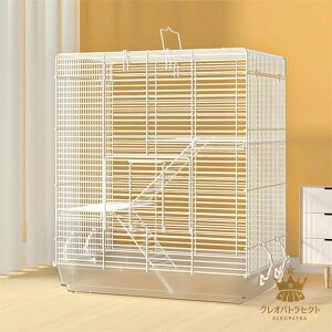 yLOiIzK P[W 傫 3K tFbg P[W C[W[z[ c  K V}X fO[ nX^[  ^  ^ tNK