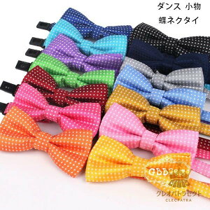 _X  lN^C _Xpi lp qp p[eB[ @   c̕ o c Ղ _X lN^C  JCC _Xpi lN^C hbg S17F 