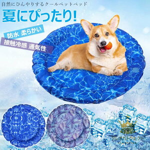 ybgxbh NbV ybg}bg WF  ЂV[g ėp}bg ybg}bg Ђ }bg  Qn ΍ ybgxbh ^ ^  \tg ʋC p 