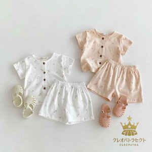 ZbgAbv LbY  xr[ ̎q j̎q tVc  V[gpc q  pW} Ԃ gbvX n[tpc    ۈ牀 ct 80cm 90cm 100cm 110cm 