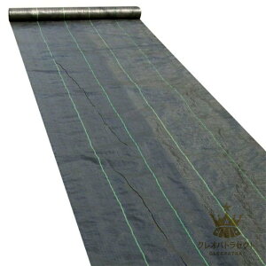 hV[g _pV[g 悯V[g V[g Gh~ ϗpN 2-3N 0.3mm Gh  lHŉ 1mx10m 1mx15m 1mx50m Iׂ3TCY