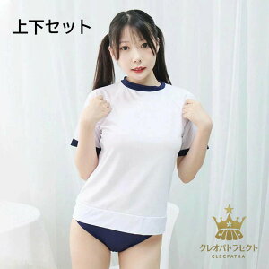 ̑ ㉺Zbg RXv RX`[ nEB ̑ ^ ̈ qZ jc jk Cxg u} Zp ߑ  lp  Cxg ZNV[ ̑