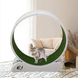 LbgzC[ L 񂵎 bNu ÉmCY Lp[i[ L jOzC[ LbgEH[N ^s XgX LbgjO}V ^Lp 