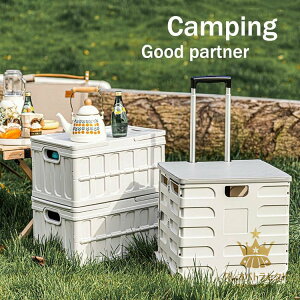 ܂肽 L[J[g VbsO J[g AEghA y LX^[t ֗ ReiJ[g ReiL[ {bNXS VbsO  Lv sNjbN ȃXy[