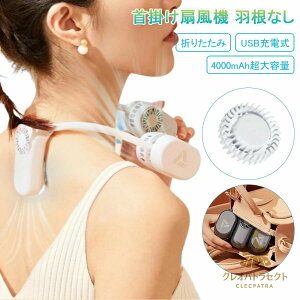 2023ŐV @ 񂩂 HȂ y lbNt@ gѐ@ nfBt@ т@ |[^u USB[d 4000mAhe ^ MǑ΍ lbNN[[ RpNg AEgh