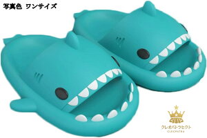 TT_  T^ Y fB[X    jp Xbp EVA [Xbp V[T_ ~ p ₷   27.5 cm