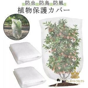 hlbg ؉ ؍͔| lbg h 40*50cm В hlbg |lbg v^[ Ԓd Aی 悯 60*80cm 80*100cm 80*120cm 100*120cm ۉ hJo[ ʂ ƒ؉  ʎ K[f 