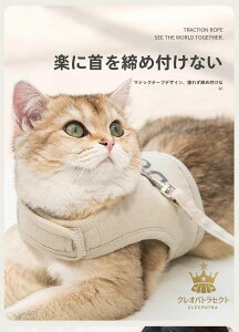 pLpn[lX [ht Eh~ w^Cv ʋCbV ˃St Up xXg^