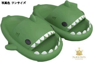 TT_  T^ Y fB[X    jp Xbp EVA V[T_ ~ p ₷   20.0cm