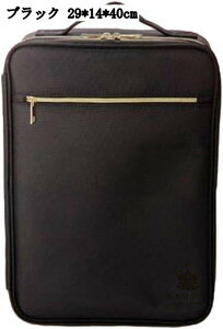 ϔ CNAbvP[X |  ϕi{bNX d؂  RX[ CN{bNX  gѕ֗ ϋv @\[P[X ώ  29x14x40cm