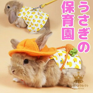 ̕ۈ牀 |VFbg Xqt XbN { n[lX xXg s[X Ђ长   U[h p ETMp [h n[lX n[lX ybgEFA 