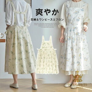 ̌^Jo[ApXbLI2FWJ Gv ԕ ԕ H^ s[X ^bN k XJ[gGv IVƖp  ۈm Lb`T [N