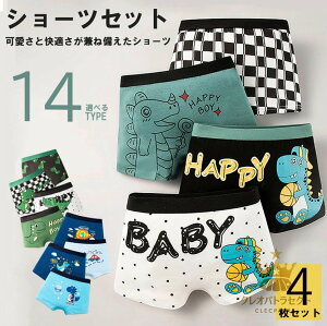 킢ŁAIԂ̂y݂ɁIIׂ14 4Zbg j̎q q  {NT[pc 4g V[cZbg  ʉ  ۈ牀 ʊw LbY 傤イ 蕨  {[