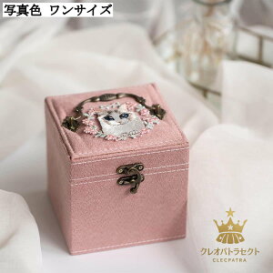 LfUC WG[[{bNX RpNg  xA Δ fB[X  `[J[[ y gїp