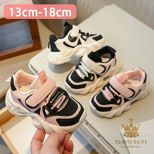 X|[cC Xj[J[ LbY ̎q _XV[Y jOV[Y ^C  i w ʉ ʊw y  qC LbY_Xߑ qbvzbv ʋC hL sN u