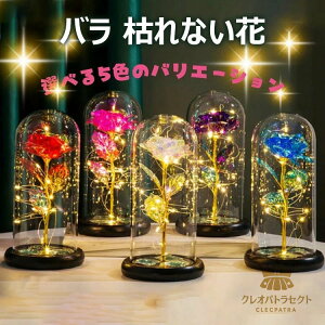 o ͂Ȃ  KN S[hbL[Y dr ԑ v[go LL KXh[ NX}X o^Cf[ t[ v[g ̓ j a LO 