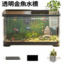 楽天市場】グッピー 飼育セットの通販