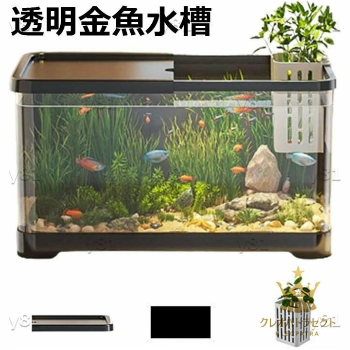 楽天市場】メダカ 金魚 水槽 金魚鉢 プラスチック 透明 メダカ鉢 大 