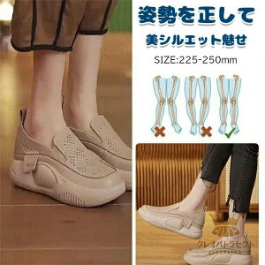 pvX JWAV[Y fB[X RȂ Xj[J[ fB[X Xb| bV  Xj[J[ i[XV[Y Od ₷ lԍHw EhgD胍