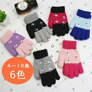 q w ̎q O[u ĂԂ h LbY  5{w ۉ h