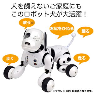 楽天市場 限定2 5倍 マラソンクーポン ラジコン犬 ラジコン ロボット犬 リモコン付き Rcロボット Usb充電式 電子ペット スマートドッグトーキング 子供のおもちゃ 犬おもちゃ ペット 誕生日 クリスマス プレゼント 男の子 女の子 送料無料 子供の日 おうち Clever