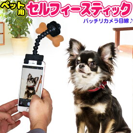 楽天市場 スマホ 犬 カメラ目線の通販