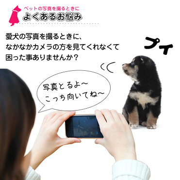 Gwおうちが楽しい Sale クーポン ペット用 セルフィースティック 犬 猫 写真 ペットの写真 いぬ ねこ 撮影 スマホ カメラ目線 セルカ棒 自撮り棒 ペット セルフィー スティック スマートフォン かわいい写真 Room 欲しい に出会える