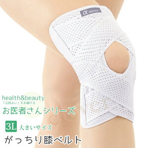 y23%offSALEz҂̂Gxg 傫TCY { 3L Ђxg ЂT|[^[ GT|[^[  pbg X|[c O  S y N EH[LO bs