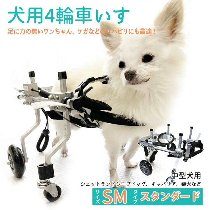 楽天市場】【複数購入で3％OFF】犬用補助輪 SMサイズ 四輪 犬用車椅子  