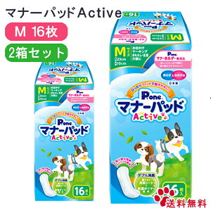 y23%offSALEz}i[pbh Active M 16y2Zbgzj̎q̎qp}i[pbh jp p 炵   }i[pbhANeBu M 16 2  bsO