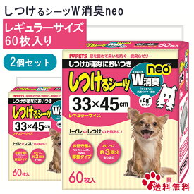 【GWに間に合う★MAX67%OFF】ボンビ しつけるシーツダブル消臭NEO レギュラー 60枚 【2袋セット】犬用 シート シーツ 使い捨て レギュラーサイズボンビ しつけるシーツダブル消臭ネオ R 60枚　2個 送料無料