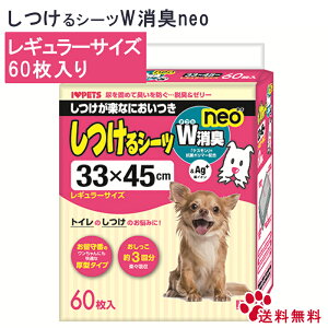 y23%offSALEz{r V[c_uLNEO M[ 60 p V[g V[c ĝ M[TCY {r V[c_uLlI R 60  bsOs