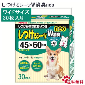 y23%offSALEz{r V[c_uLNEO Ch 30 p V[g V[c ĝ ChTCY {r V[c_uLlI W 30  bsOs