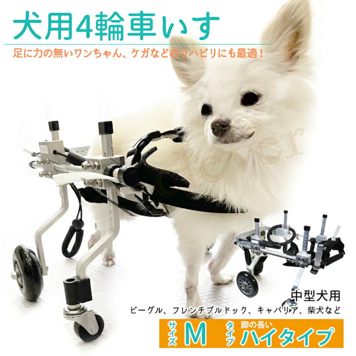 楽天市場】四輪犬補助【M−H−03】脚の長い ハイタイプ 犬用車椅子  