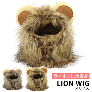 y23%offSALEzybg̔蕨 CI ybgpXq  LpEBbO CI L蕨 RXvLbv ϐg nEB NX}X p[eB[ LOBe F bsO