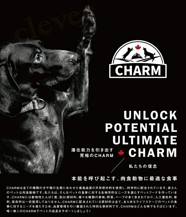 楽天市場】CHARM チャーム アダルトドッグ 10kg ドッグフード 正規品 