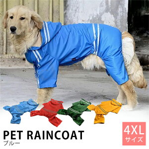 y23%offSALEz^pEJEJbpECR[g  [ bsO