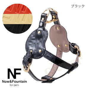 Now&Fountain {fBxg D^Cv WG[G{X {fB[xgV[Y ofBxg On[lX ^ eB[Jbvv[h `   ybg U[ [h { {v