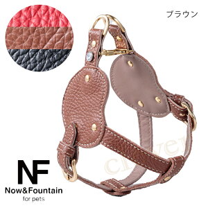 Now&Fountain {fBxg D^Cv i`XL {fB[xgV[Y ofBxg On[lX ^ eB[Jbvv[h `   ybg U[ [h { {vy