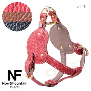Now&Fountain {fBxg D^Cv i`XL {fB[xgV[Y ofBxg On[lX ^ eB[Jbvv[h `   ybg U[ [h { {vy