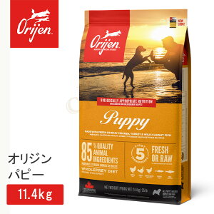 �y�����w����3��OFF�z�I���W�� �I���W���p�s�[ 11.4kg ���K�i �h�b�O�t�[�h �c���p �q���p �����s�g�p �����h�{�H �J�i�_�Y �q���p ���p �� �p�s�[ �̏d�Ǘ� �얞 �q�� �e�� �� �� ���� � �� 