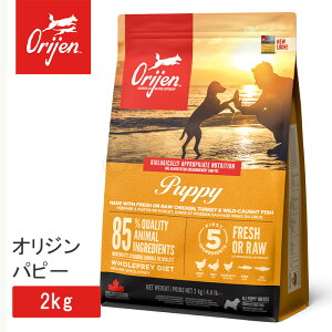 y23%offSALEzIW ps[ 2kg Ki hbOt[h cp qp sgp h{H Ji_Y  qp p  ps[ ̏dǗ 얞 q e      o[