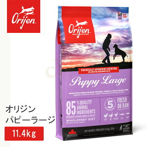 �y�����w����3��OFF�z�I���W�� �p�s�[���[�W 11.4kg �h�b�O�t�[�h ���K�i �q���p ���p �� �p�s�[ �̏d�Ǘ� �얞 �q�� �e�� �� �� ���� � �� ���o�[ ���`���� �y�f �K�{�A�~�m�_ �y�b�g�t�[�h 