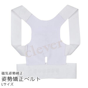 y23%offSALEzCtpRZbg ␳ ^Ngbv EFA p Lw΍   Wbv {fBVFCp[ g[jO ؓ w bsO