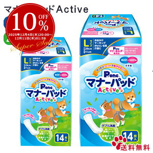 y325%offz}i[pbh Active L 14y2Zbgzj̎q̎qp}i[pbh jp p 炵   }i[pbhANeBu L 14 2  bsO