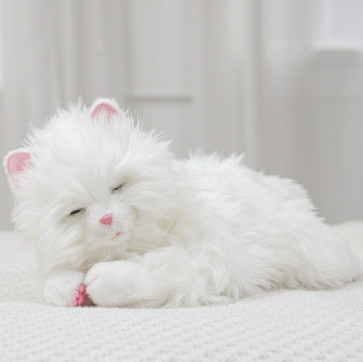 楽天市場】あなたのパートナー しっぽふりふり あまえんぼう 子ねこ 