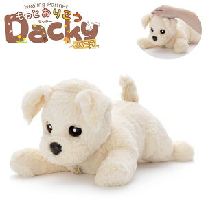 ybsOEsz^Jg~[A[c q[Op[gi[ Ƃ肱_bL[ oj