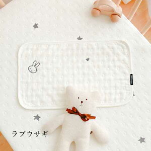 Vp 0-12 ȒʋCNEhK[[ 6dK[[ hイ RqfNbV xr[tbg ԂObY